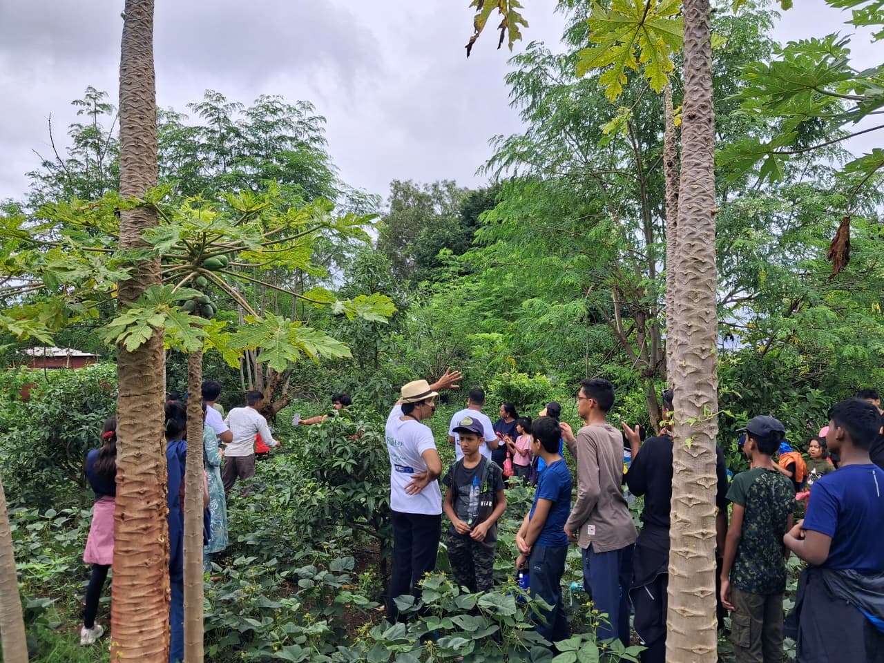 Green sustainable farm